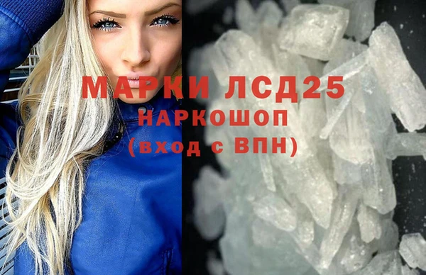 СК Зерноград