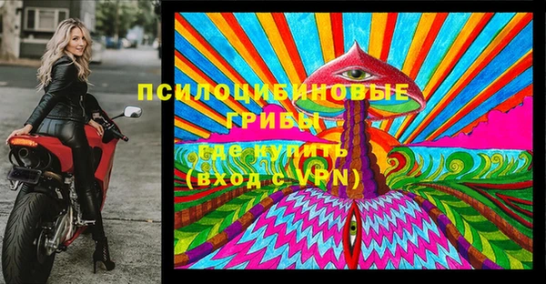 метадон Сатка